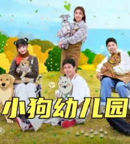 《小狗幼儿园》：萌宠治愈日常，见证小狗狗们的成长与友谊！