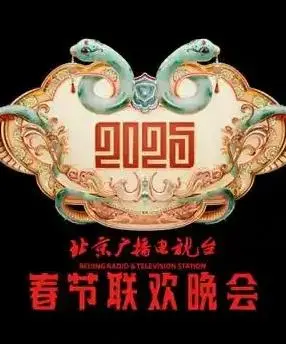 《2025北京卫视春晚》：吐槽与惊艳齐飞，这届春晚够味儿！