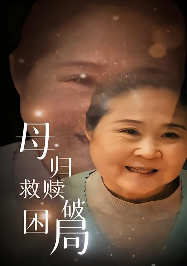 母归救赎破困局 海报